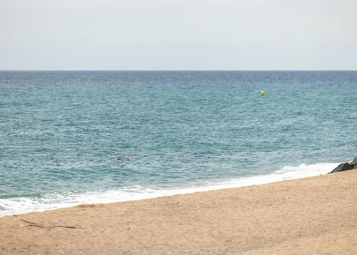 Alannia El Pinar Campingplads