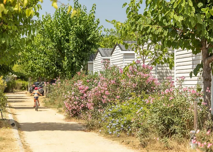 El Pinar Blanes