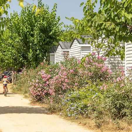 Alannia El Pinar Blanes